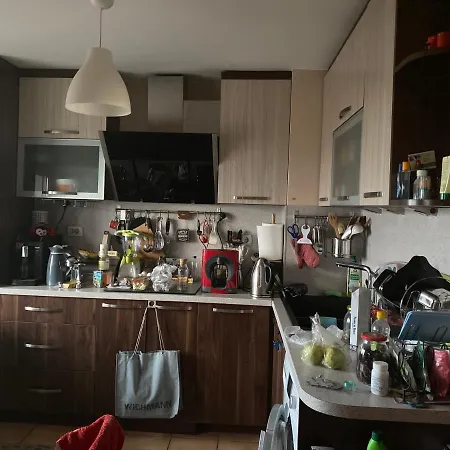 Bed & Breakfast Single: An Experience Like No Other *